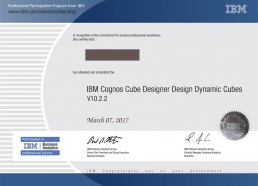 IBM Certificate Sample