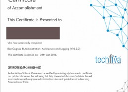 techfiva Certificate Sample